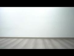 cono de tráfico todo